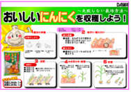 にんにくの育て方○.png