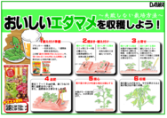 エダマメの育て方○.png