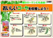ゴーヤの育て方○.png