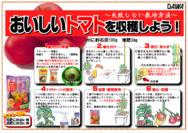トマトの育て方○.png