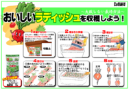 ラディッシュの育て方○.png