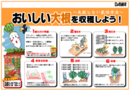 大根の育て方○.png