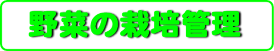 野菜の栽培管理.png