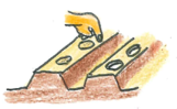 とうもろこし 種まき.png