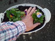 CIMG2175.JPG