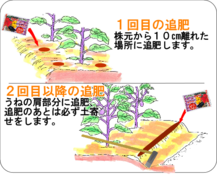 ナスの追肥.png