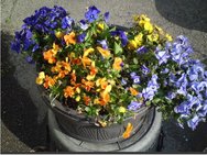 ●平成28年3月16日　　　　　　　　　　