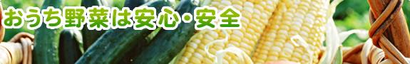 おうち野菜は安心安全