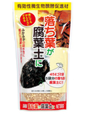 落ち葉が腐葉土に.jpg