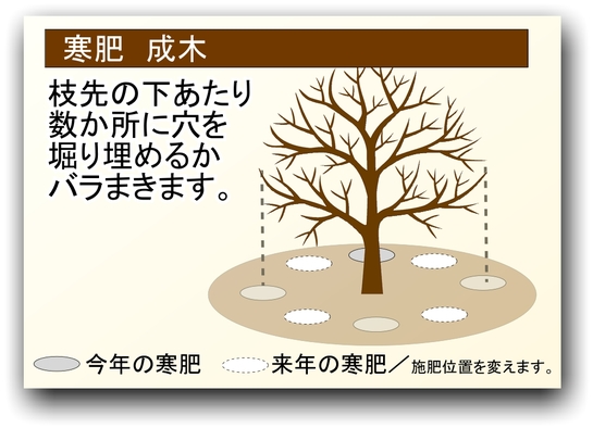 ２０２５寒肥　使用方法１.jpg