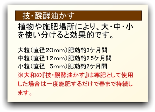 2025寒肥 使用方法.jpg 2025寒肥 使用方法.jpg