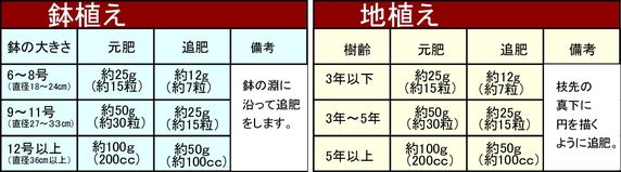 アボカドの肥料 施肥量.jpg