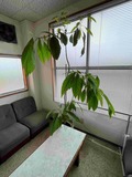 2023年6月６日