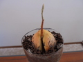 DSC00268.JPG