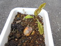 DSC00282.JPG