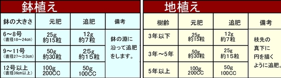 オリーブの施肥量.jpg