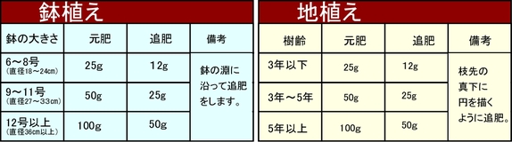 レモン類の施肥量.jpg レモン類の施肥量.jpg