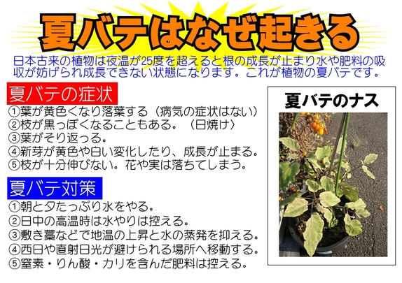 硫マグ２.jpg