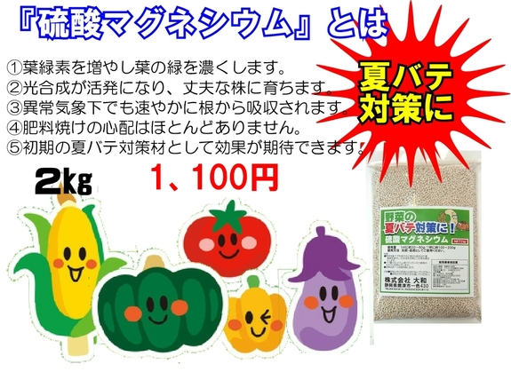 硫酸マグネシウム_２.jpg