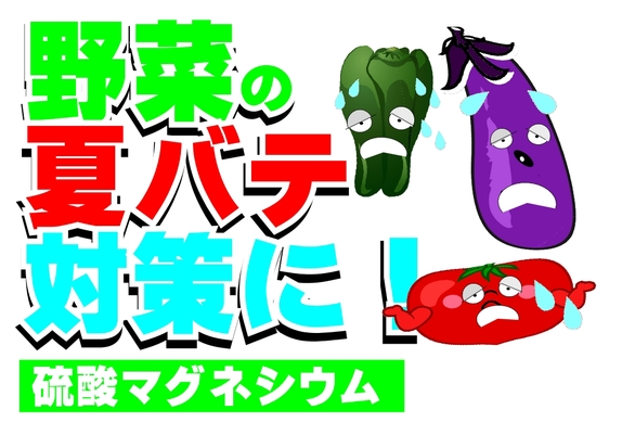硫マグ１.jpg