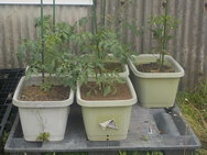 DSCN0048.JPG