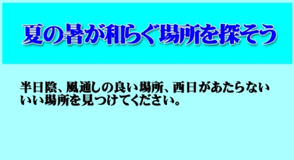 夏の暑さが和らぐ場所を見つけよう!.jpg 夏の暑さが和らぐ場所を見つけよう!.jpg