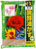 粉末