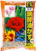 中粒