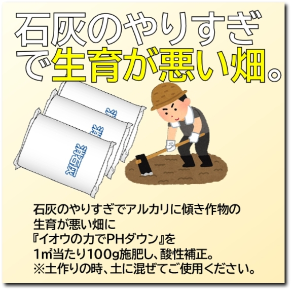 石灰のやりすぎ.jpg
