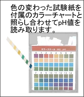土のPH試験７.jpg