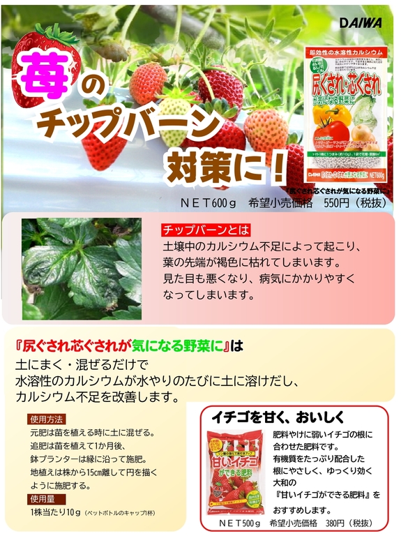 尻ぐされ　イチゴのチップバーンチラシ　価格入り.jpg