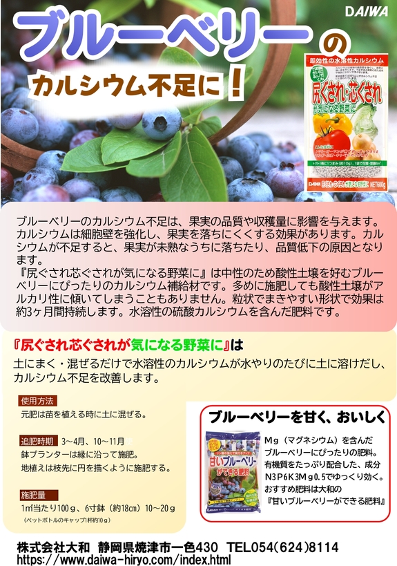 尻ぐされ　ブルーベリーのカルシウム不足に.jpg