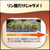 花が良く咲く　16.jpg