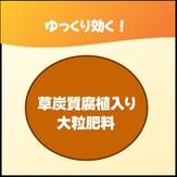 花咲くポイント２.jpg