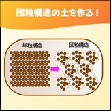 花咲くポイント３.jpg