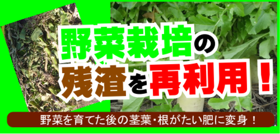 野菜栽培の残渣を再利用.png