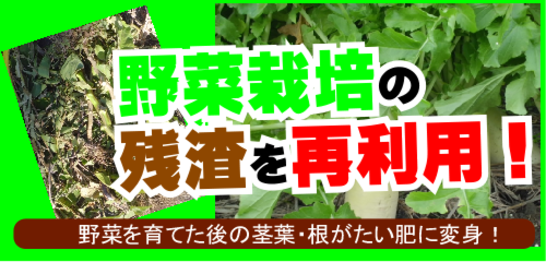野菜栽培の残渣を再利用.png