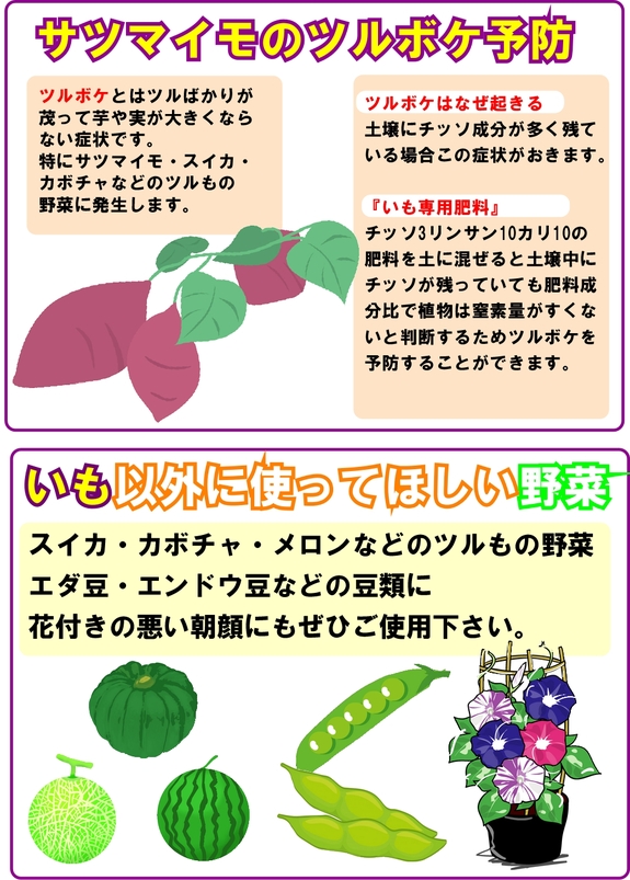 いも以外に使ってほしい野菜.jpg