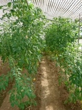 image01.jpeg