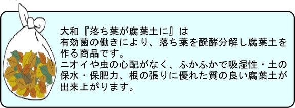腐葉土１２.jpg