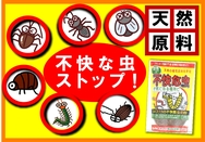 不快な虫.jpg