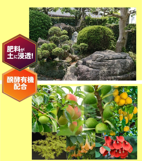 土の再生材入肥料　トップ 3.jpg
