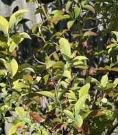 image0.jpg