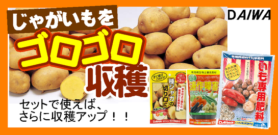 ジャガイモをゴロゴロ収穫.png