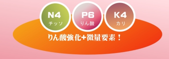 保証成分.jpg