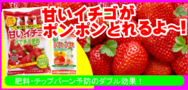 甘いイチゴがポンポンとれるよ〜！.png
