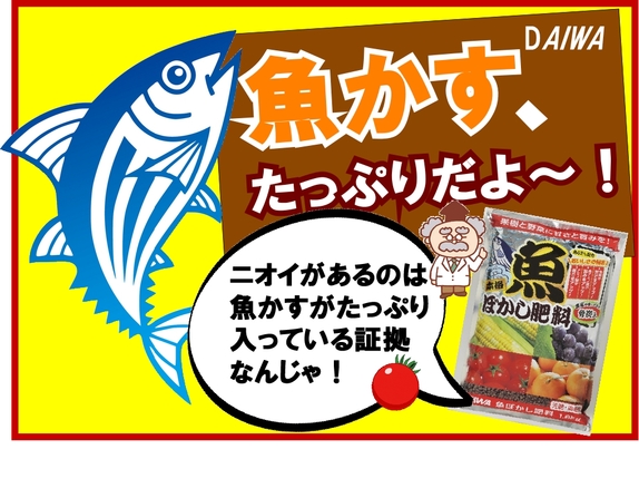 魚ぼかし.jpg