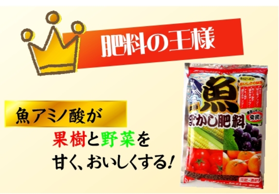 魚ぼかしホームページ３.jpg