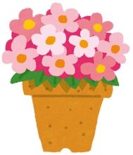 花.jpg