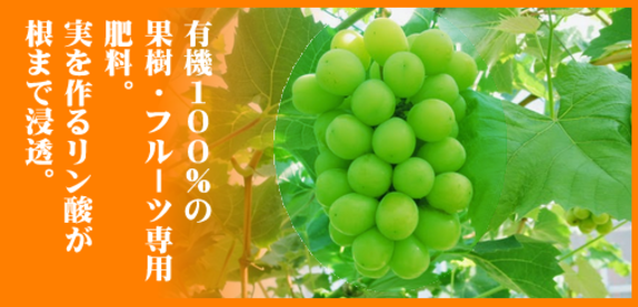 甘いフルーツの肥料.png